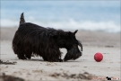 Dickie-Ostsee-Silvester-2017