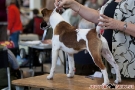 hundeausstellung-berlin-2011_8383