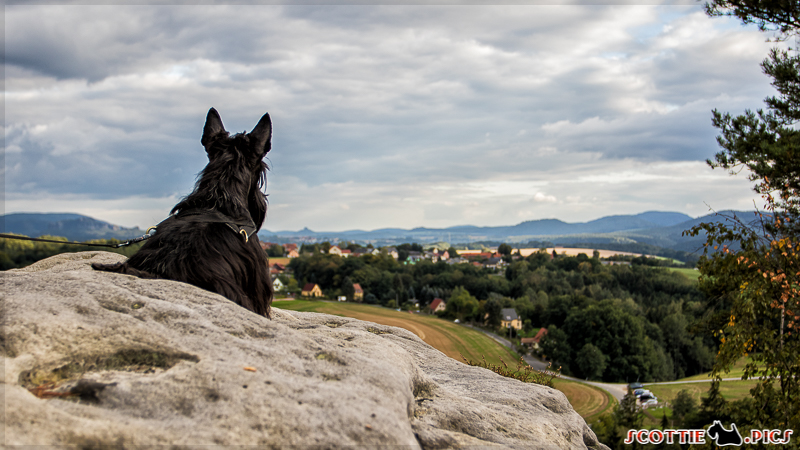 Blick vom Gamrig