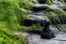 Ein paar kleine Felsen...