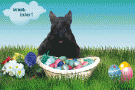 Scottish Terrier Ostern Grußkarte ostern-0005