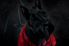 Scottish Terrier STAR TREK 2012