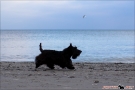 Strolling along the beach