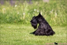 Ein sonniger Tag im Park