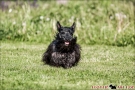 Ein sonniger Tag im Park