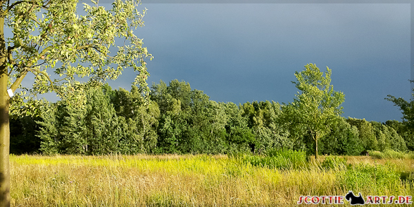 Schlechtes Wetter 2012-07