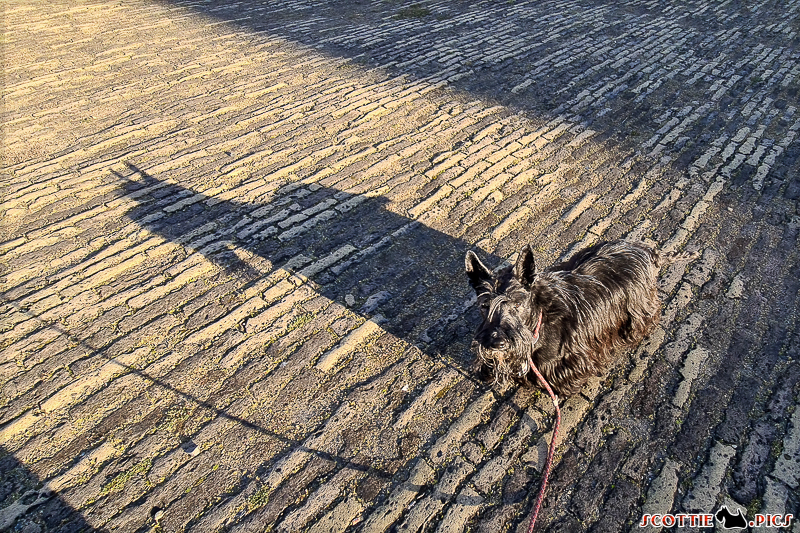 Mal wieder Schatten-Impressionen