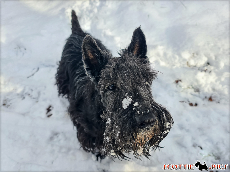 Noch viel mehr Schnee :D